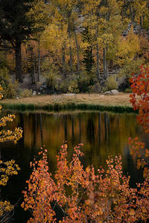 N Lake Reflections