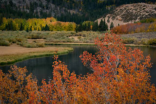 Aspens North Lake