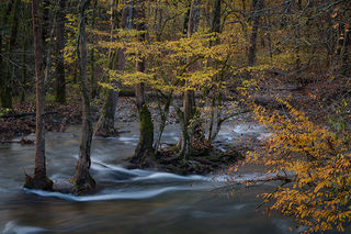 Oconaluftee River, Fall