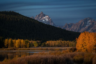 Oxbow Bend Aspens