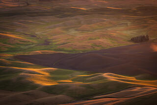 Morning Light Steptoe Butte