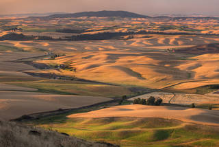 Palouse Sunrise