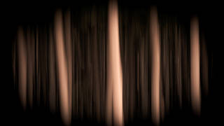 Poplar Stand