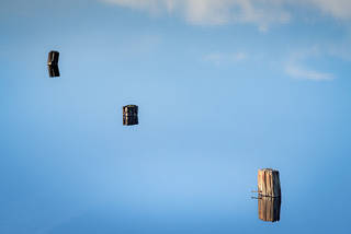 Posts & Ponds Reflections