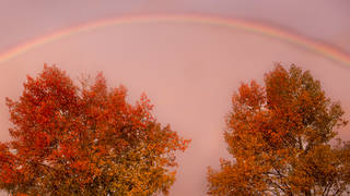 Rainbow and Aspens