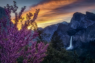 Red Bud Tunnel View Sunrise