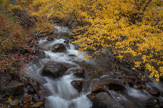 Rock Creek Colors