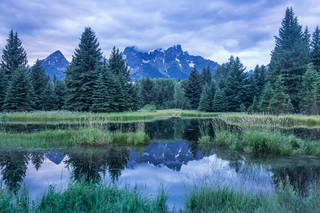 Shwabacher Landing at Dawn