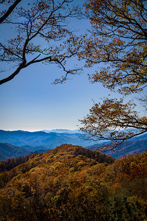 Fall Colors 3
