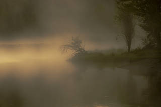 Snake River Morning Mist