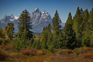 Fall at Tetons