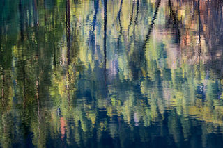 Homage to Monet