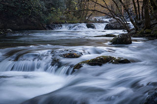 Tremont River, Fall 2