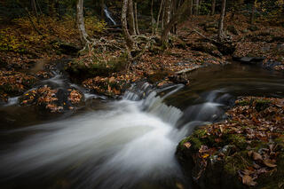 Tremont River, Fall