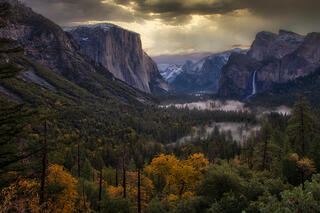 Valley Fog Sunrise