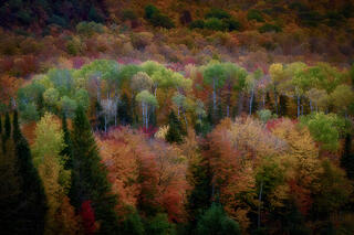 Fall Colors Ontaganon Valley