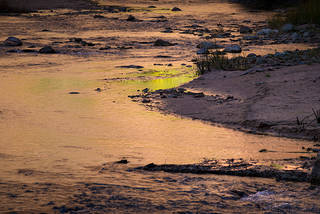Virgin River Reflections