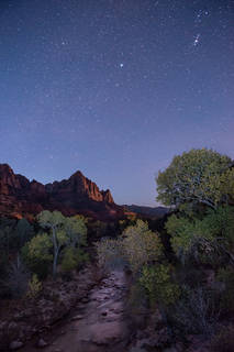Watchman and Stars