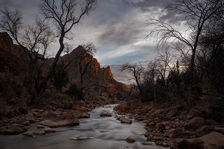 Virgin River & Watchman, Winter