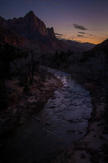 Watchman at Twilight