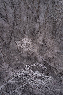 Snow & Cottonwoods