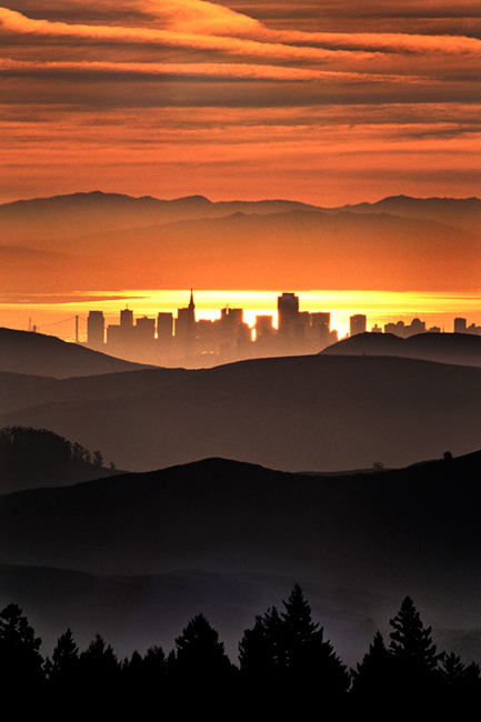 mt tamalpais, fog, sunrise, san francisco, marin, trees, headlands, ca, california