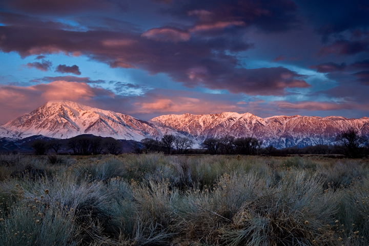 bishop sunrise