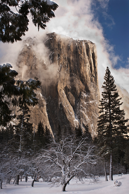 Yosemite Valley, yosemite, valley, ca, california, sierra, mountains, trees, black oak, black, oak, valley view, winter, snow...