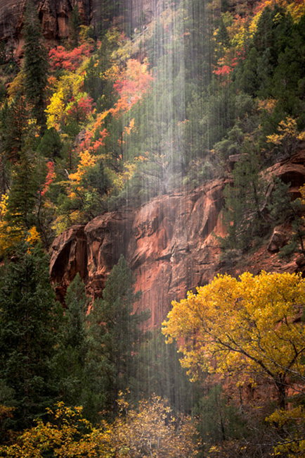 trees, fall, fall color, zion, mountains, utah, ut, waterfalls, water, emerald, pool