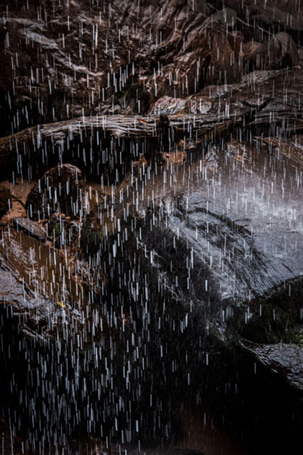 trees, fall, fall color, zion, mountains, utah, ut, waterfalls, water, emerald, pool
