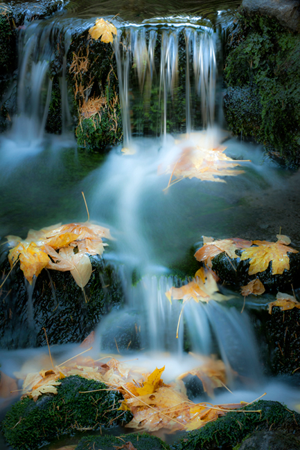 fern spring, water, fall, yosemite, mountains, waterfalls, sierra, ca, california, sierra, falls
