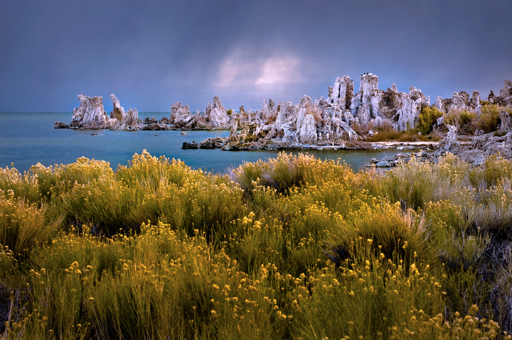 mono, lake, sunrise, tuffs, sages, wildflowers, eastern sierra, sierra, fall, dawn, lee vining, mountains