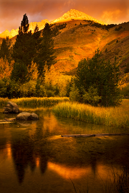 eastern sierra, sierra, aspens, fall, fall color, ca, california, trees, storm, winter, sunrise, bishop, north, lake, water...