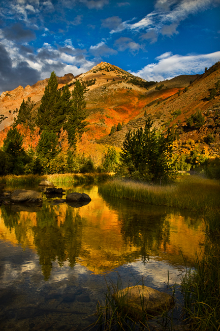 eastern sierra, sierra, aspens, fall, fall color, ca, california, trees, storm, winter, sunrise, bishop, north, lake, water...