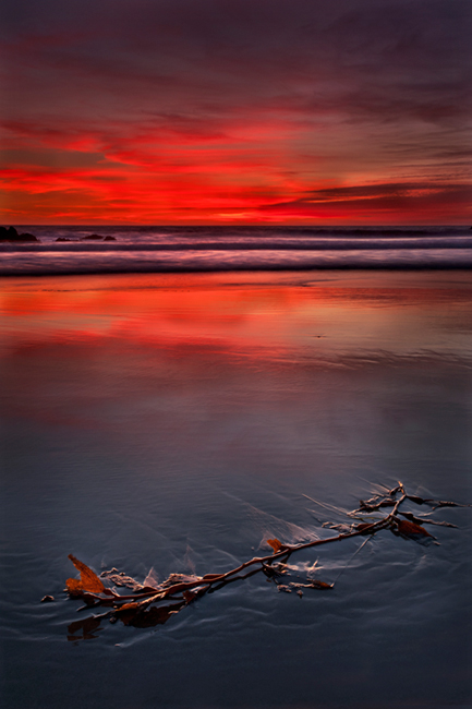 kelp, pfeiffer, state, park, coast, coastal, water, pacific, big sur, sur, big, sunset, twilight, surf, waves, beach, highway...