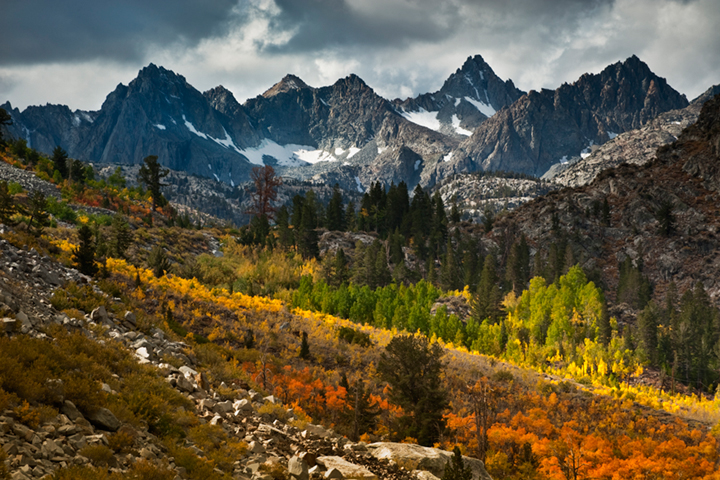 eastern sierra, sierra, fall, fall color, ca, california, trees, sunset, aspens, lake sabrina, mountains