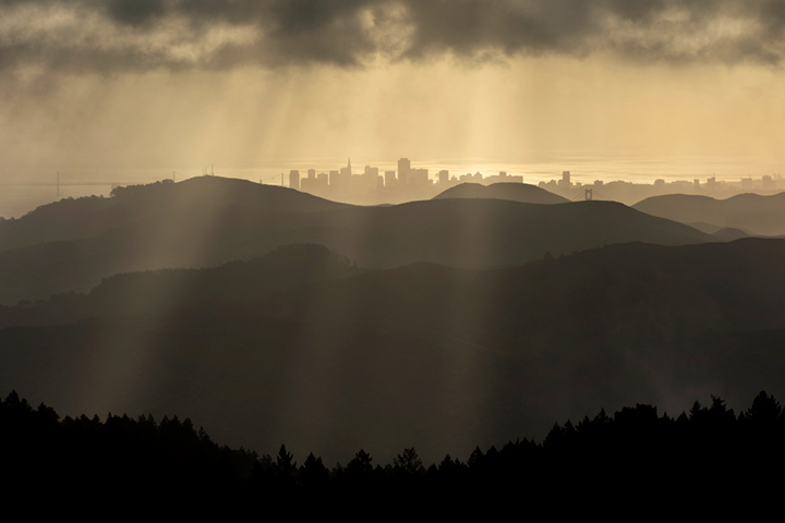 mt tamalpais, fog, sunrise, san francisco, marin, trees, headlands, ca, california
