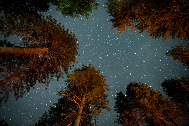 Yosemite Valley, yosemite, valley, ca, california, sierra, mountains, trees, spring, stars, pines