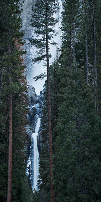 Yosemite, California, Ca, Sierra, valley, Yosemite national park, Yosemite Falls, trees, sunset, water, winter