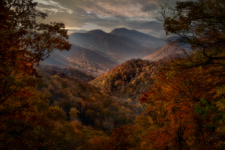 great, smoky, mountains, national park, fall, colors, flora, fauna, sunrise, north, carolina, blue, ridge, parkway, trees, maples...
