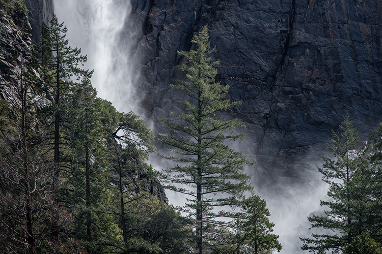 red bud, trees, merced river, yosemite national park, mountains, water, sierra, merced, ca, california, bridalveil falls, water...