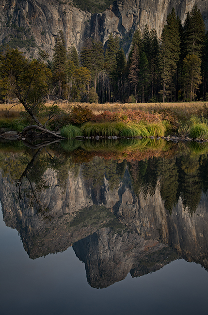 Yosemite, Sierra, mountains, yosemite valley, fall, merced river, merced, water, maples, fall color, fall,  wildlife, flora...