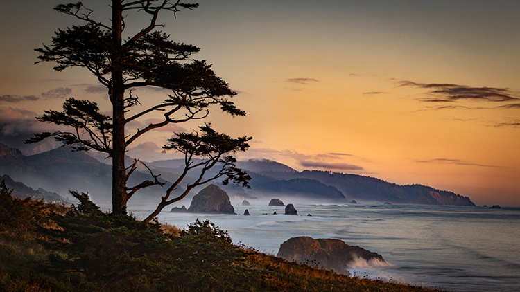 oregon, or, oregon coast, cannon beach, cola state park, pacific ocean, water, pacific, rocks, sea stacks, haystack, rock, fog...