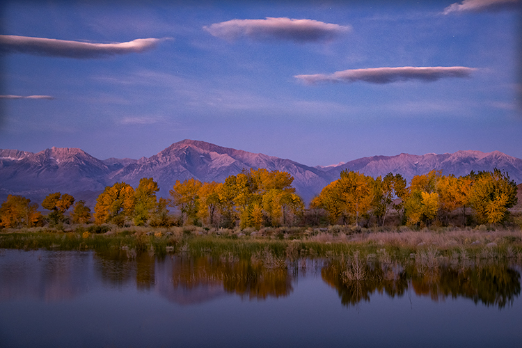 eastern sierra, sierra, aspens, bishop, fall, ca, california, trees, water, mountains, fall colors, fall colors, sunrise, farmers...