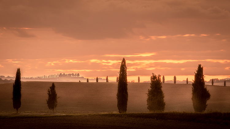 europe, italy, tuscany, pienza, siena, villa, wine, grapes, fields, sunset, clouds, valley, val d'orchia, sunrise, cypress, trees...