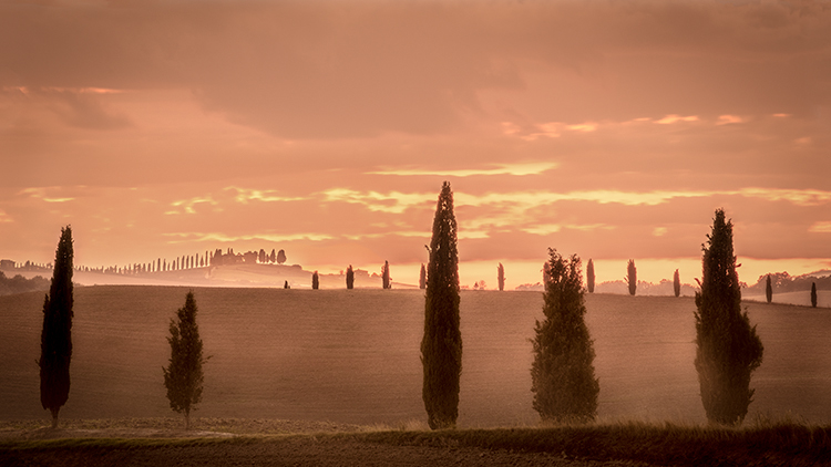 europe, italy, tuscany, pienza, siena, villa, wine, grapes, fields, sunset, clouds, valley, val d'orchia, sunrise, trees, cypress...