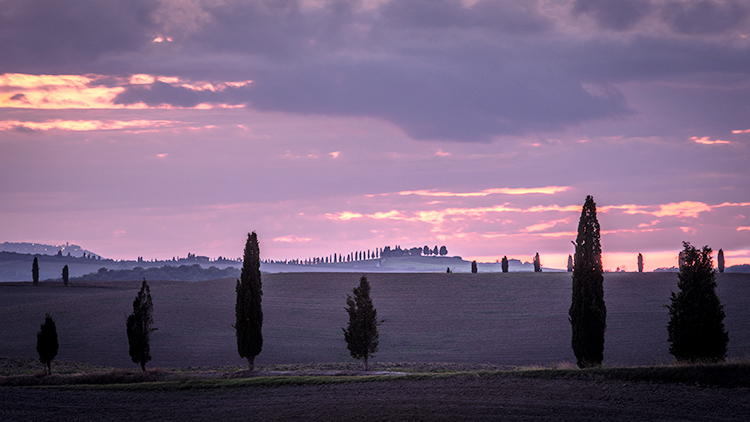 europe, italy, tuscany, pienza, siena, villa, wine, grapes, fields, sunset, clouds, valley, val d'orchia, sunrise, cypress, trees...