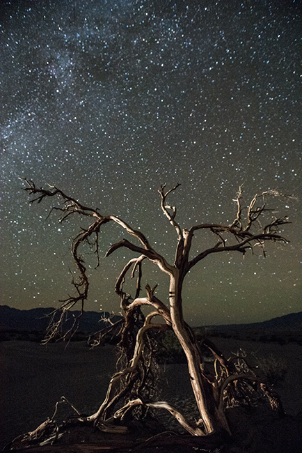 death valley, desert, southwest, west, trees, night, stars, national park, CA, California, mountains