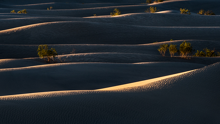 death valley national park, death valley, sunrise, dunes, stovepipe wells, california, ca, sand dunes