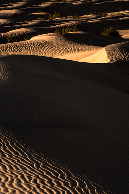 death valley national park, death valley, sunrise, dunes, stovepipe wells, california, ca, sand dunes